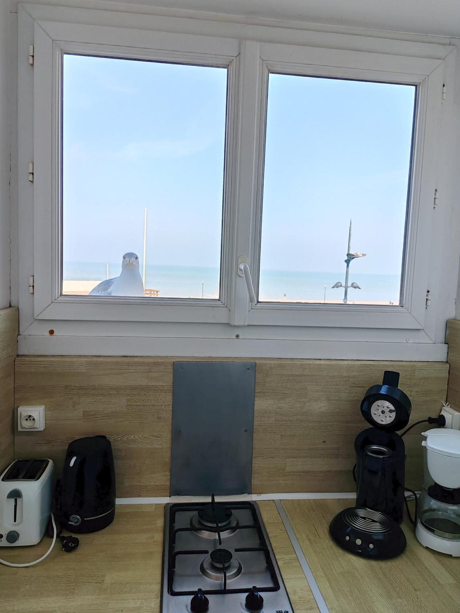 Apartament Goeland Le Tréport Pokój zdjęcie
